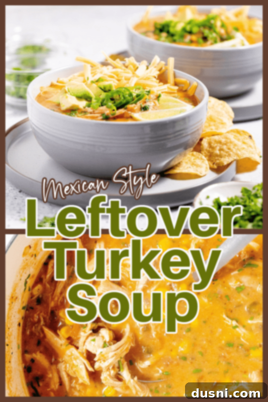 Zesty Mexican Leftover Turkey Soup 13 A stylish, dark bowl filled with Mexican Style Leftover Turkey Soup, garnished with fresh herbs and a lime wedge.