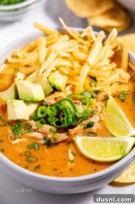 Zesty Mexican Leftover Turkey Soup 14 A close-up of a rustic bowl of Mexican Style Leftover Turkey Soup garnished with fresh lime and cilantro.