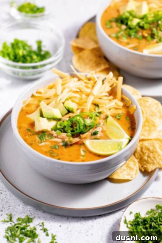 Zesty Mexican Leftover Turkey Soup 3 A close-up of Mexican Style Leftover Turkey Soup in a white bowl, garnished with fresh cilantro.