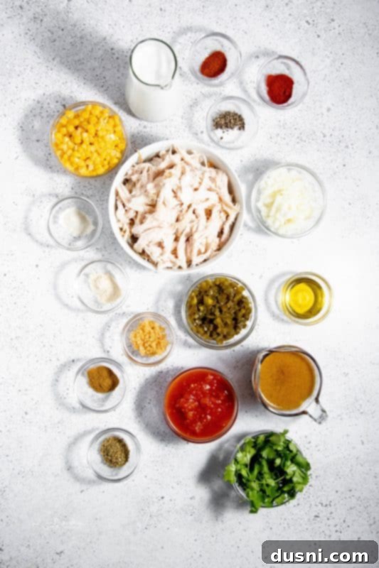 Zesty Mexican Leftover Turkey Soup 5 A bowl of Mexican Style Leftover Turkey Soup on a rustic wooden surface with a spoon.