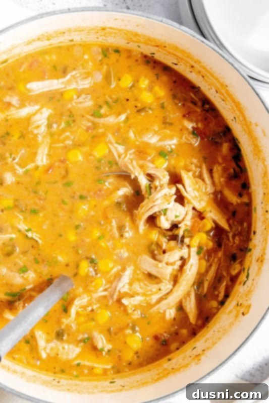 Zesty Mexican Leftover Turkey Soup 6 A large pot of Mexican Style Leftover Turkey Soup simmering on the stovetop.