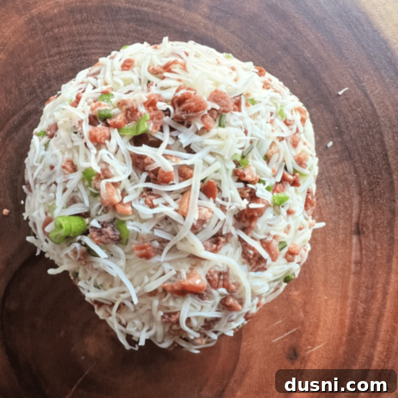 The fully coated and chilled Sauerkraut Bacon & Swiss Cheese Ball, ready to be unwrapped and served.