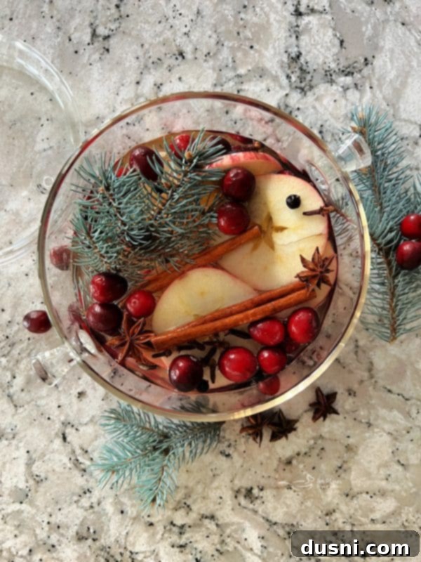 A festive holiday simmer pot with apples, cranberries, cinnamon, and evergreen branches.