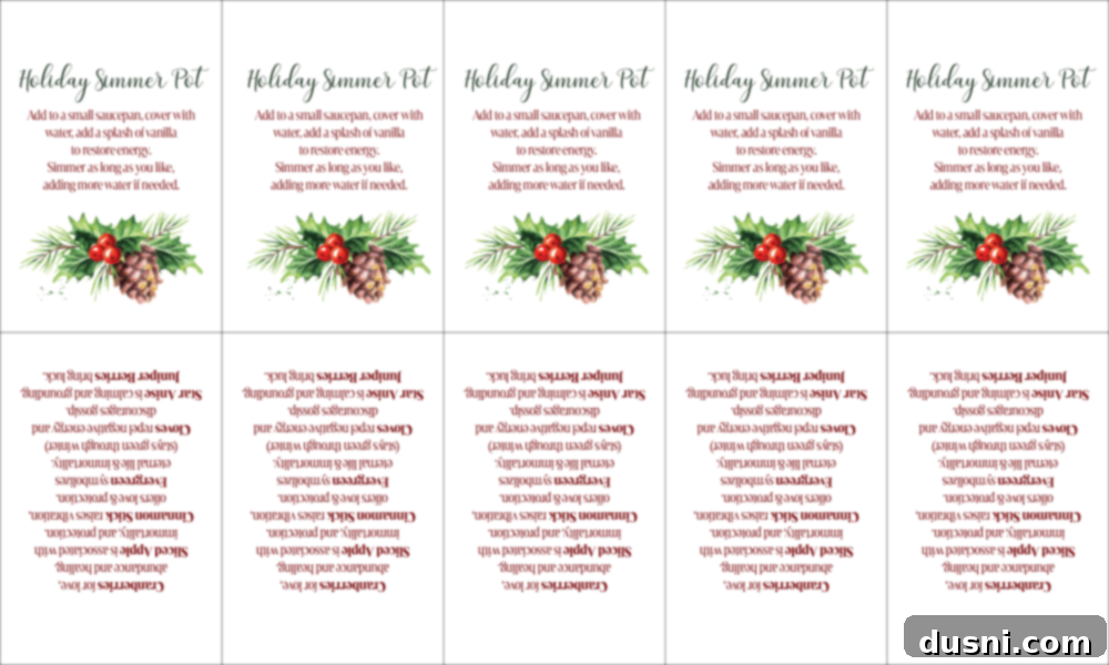Free printable gift tags for holiday simmer pots.