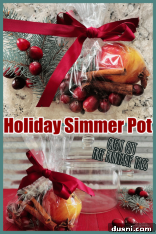 Printable holiday simmer pot gift tag.