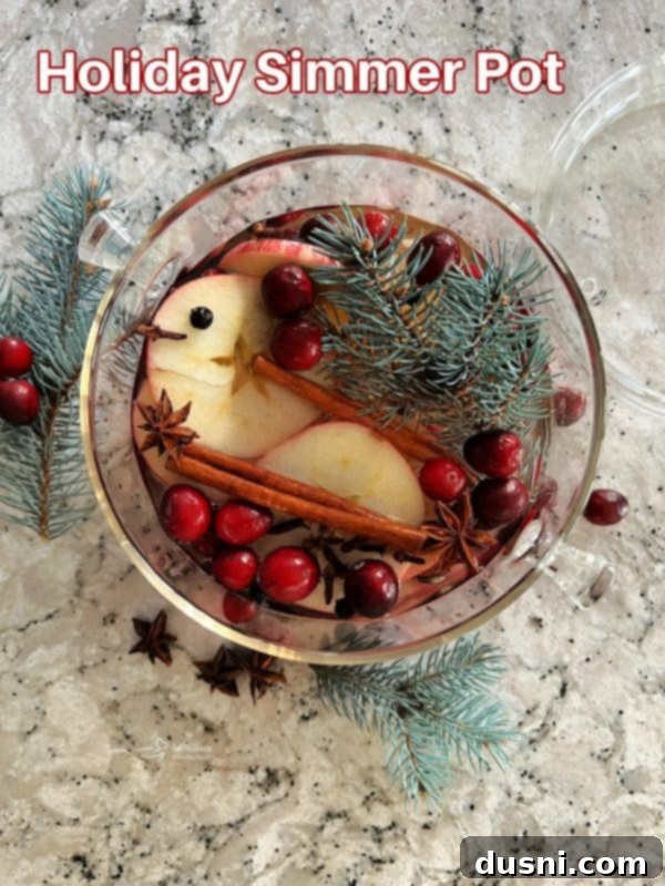 A beautifully decorated holiday simmer pot on a stovetop, ready to fill the home with scent.