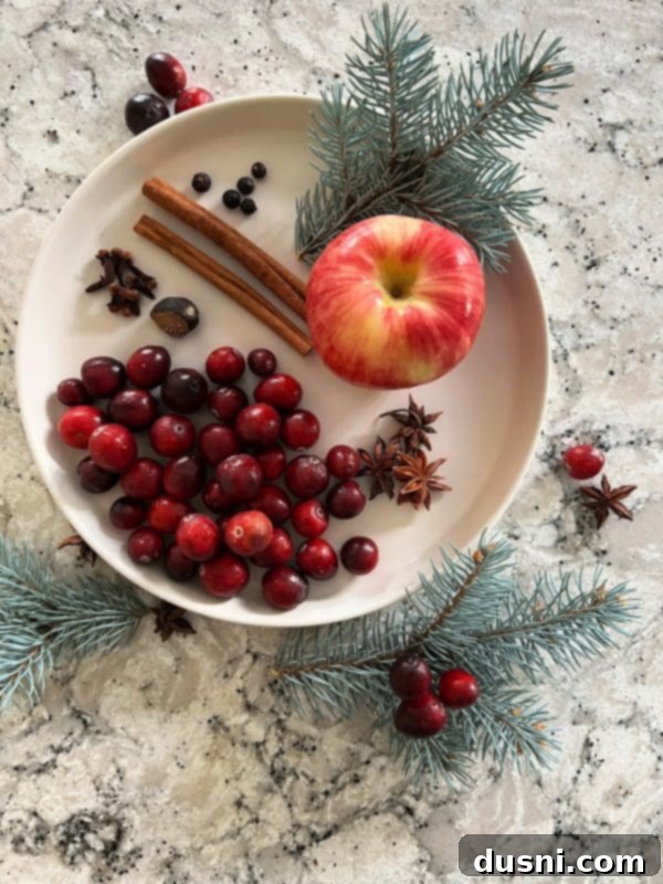 Various ingredients for a holiday simmer pot displayed on a wooden surface.