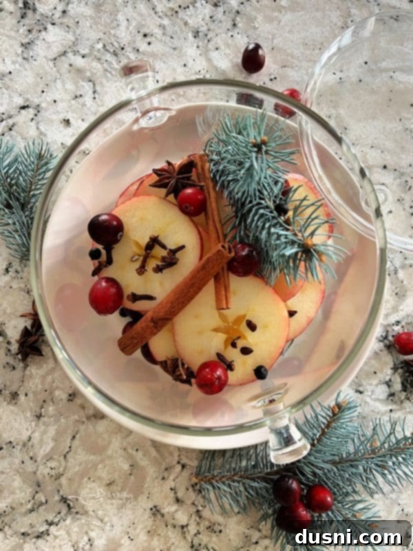 Empty glass simmer pot, ready for ingredients.