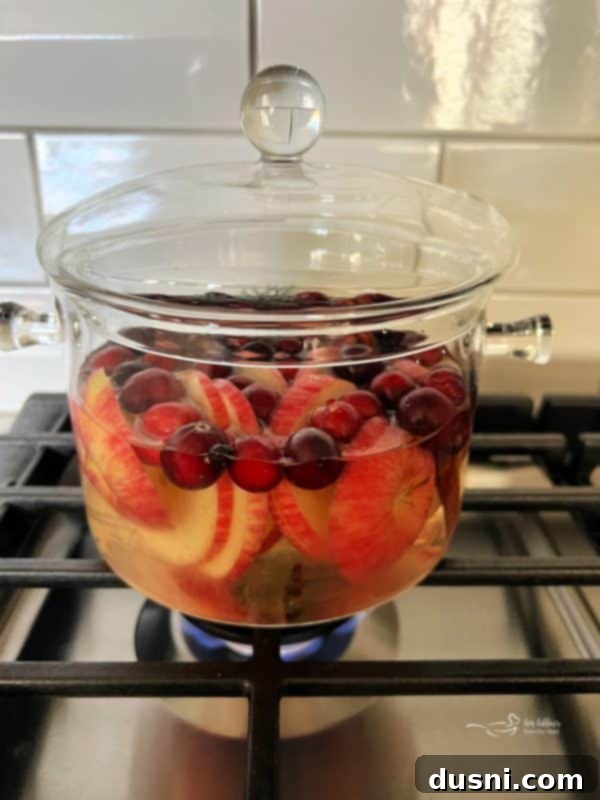 Water being poured over simmer pot ingredients.