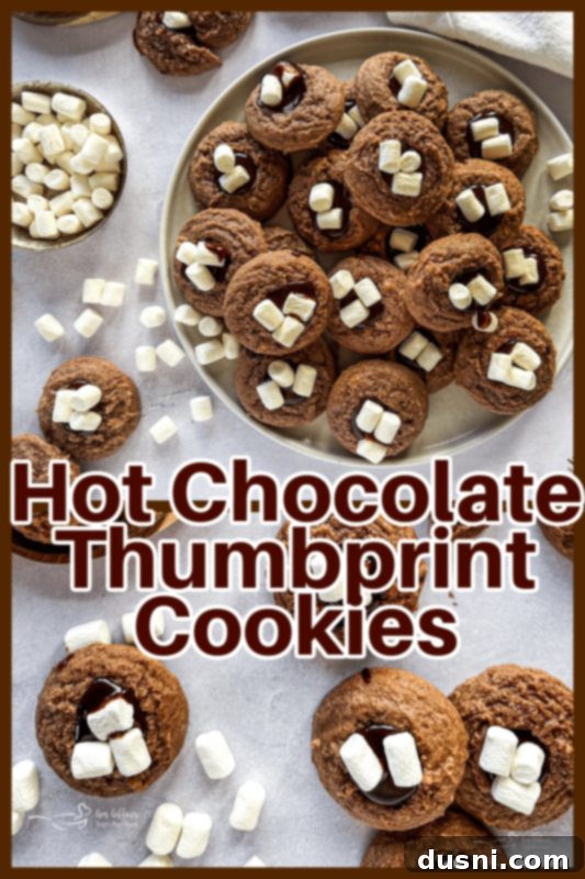 Hot Cocoa Thumbprint Delights 14 A stunning shot of Hot Chocolate Thumbprint Cookies, showcasing their rich color and inviting topping.