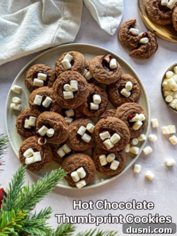 Hot Cocoa Thumbprint Delights 20 A final beautiful image of Hot Chocolate Thumbprint Cookies on a cooling rack.