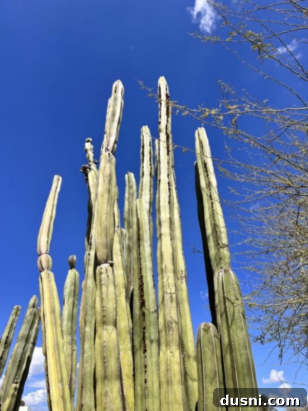 The 10 Best Recipes of 2023 3 A person holding a refreshing drink, possibly on a trip