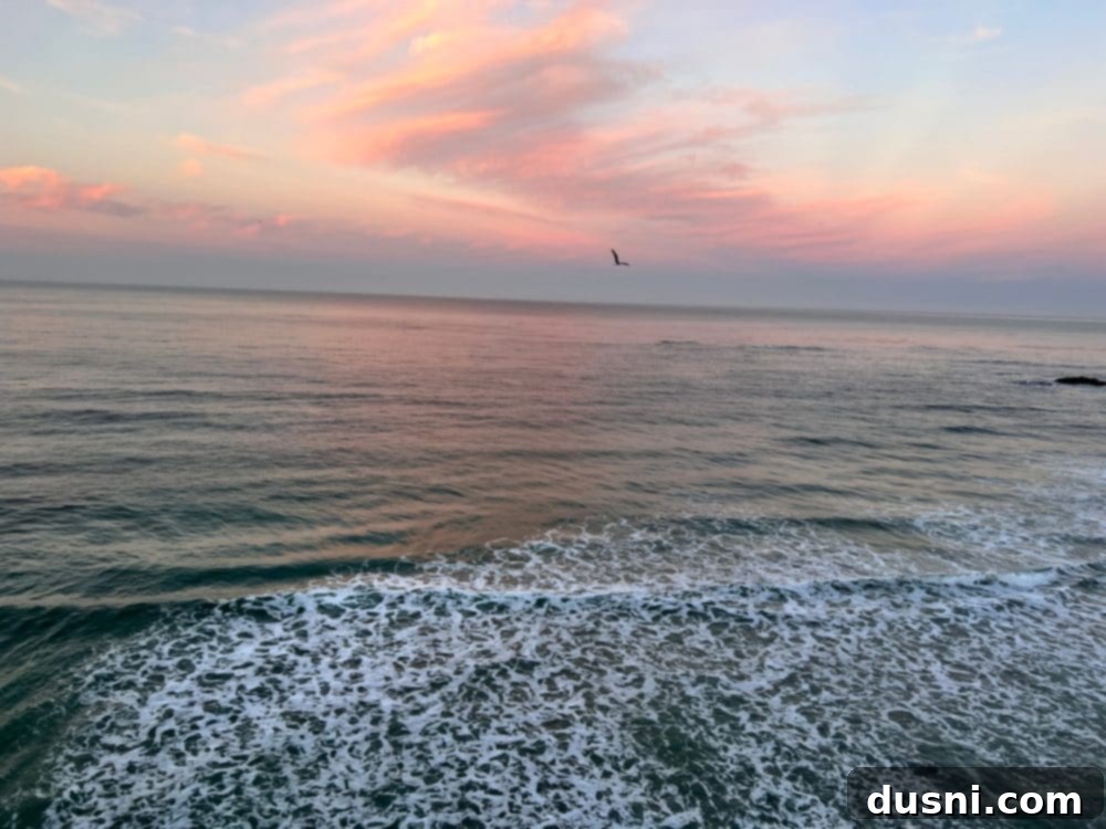 The 10 Best Recipes of 2023 5 Stunning view of Laguna Beach coastline with waves crashing below a hotel balcony