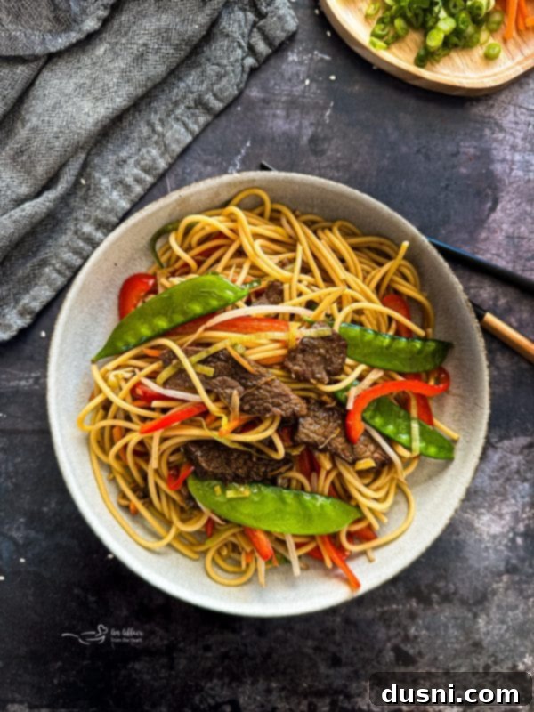 Savory Beef Lo Mein 13 The finished Beef Lo Mein in a serving bowl, garnished and ready to be enjoyed.