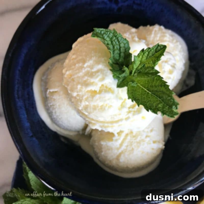 Zesty Lemon Indulgence 8 Two scoops of homemade lemon ice cream in a small bowl, ready to be enjoyed.