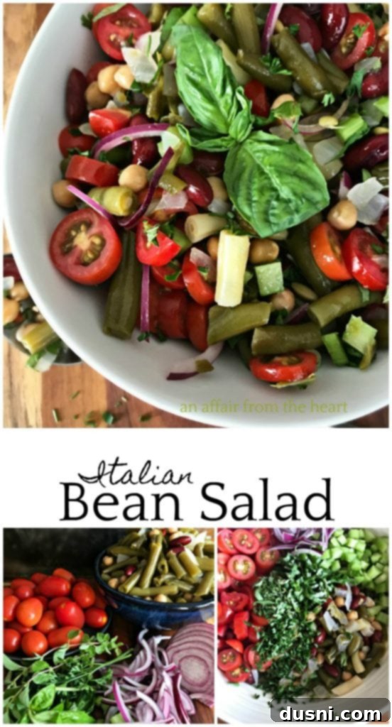 Vibrant Italian Bean Salad 12 Italian Bean Salad in a bowl against a rustic background