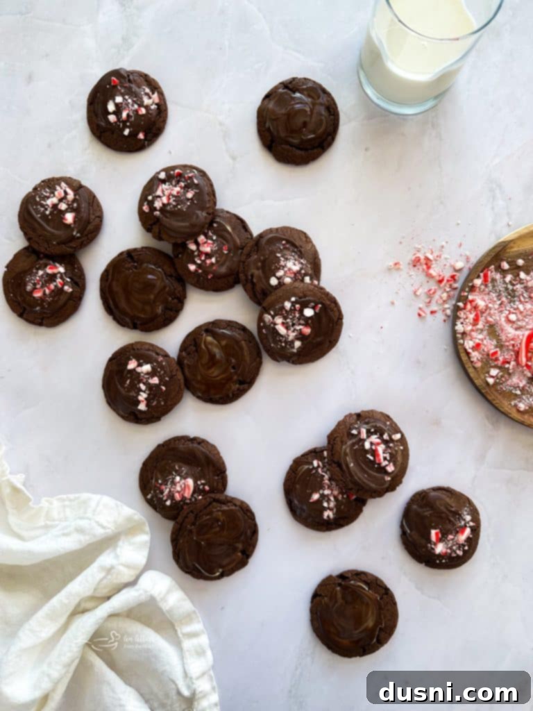 Mint Chocolate Cookie Delights 11 Pinterest graphic: Chocolate Mint Candy Cookies with text 'Pin Me!'