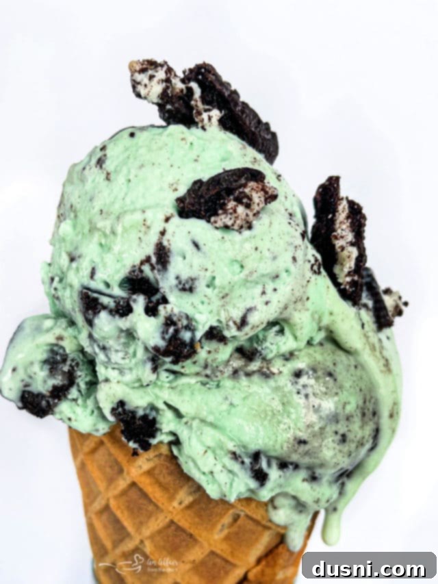 Mint Chocolate Cookie Delights 13 Cropped image of Grasshopper Pie Ice Cream in a cone, a delicious mint and chocolate treat.