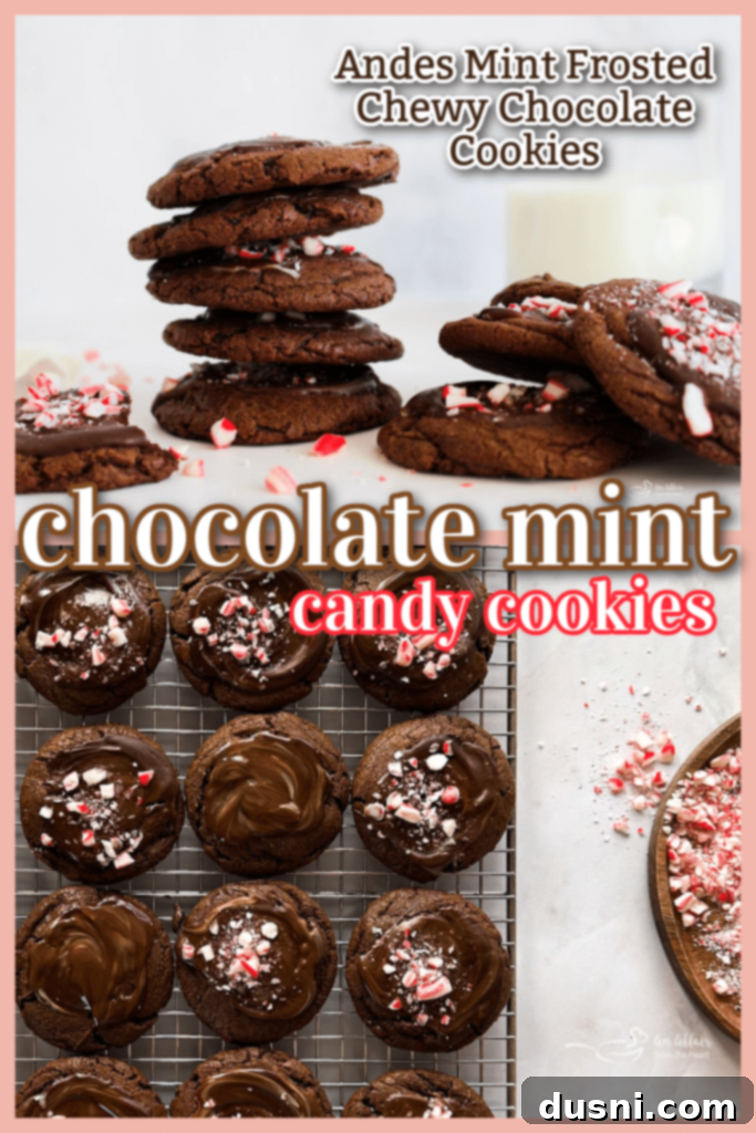 Mint Chocolate Cookie Delights 10 Beautifully arranged Chocolate Mint Candy Cookies on a white plate, ready to be served.