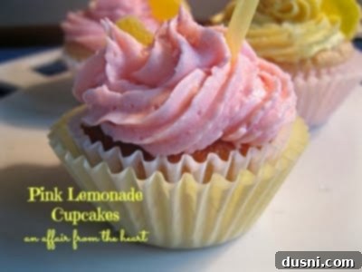 Blush Citrus Dream 5 Pink Lemonade Cupcakes from 2011