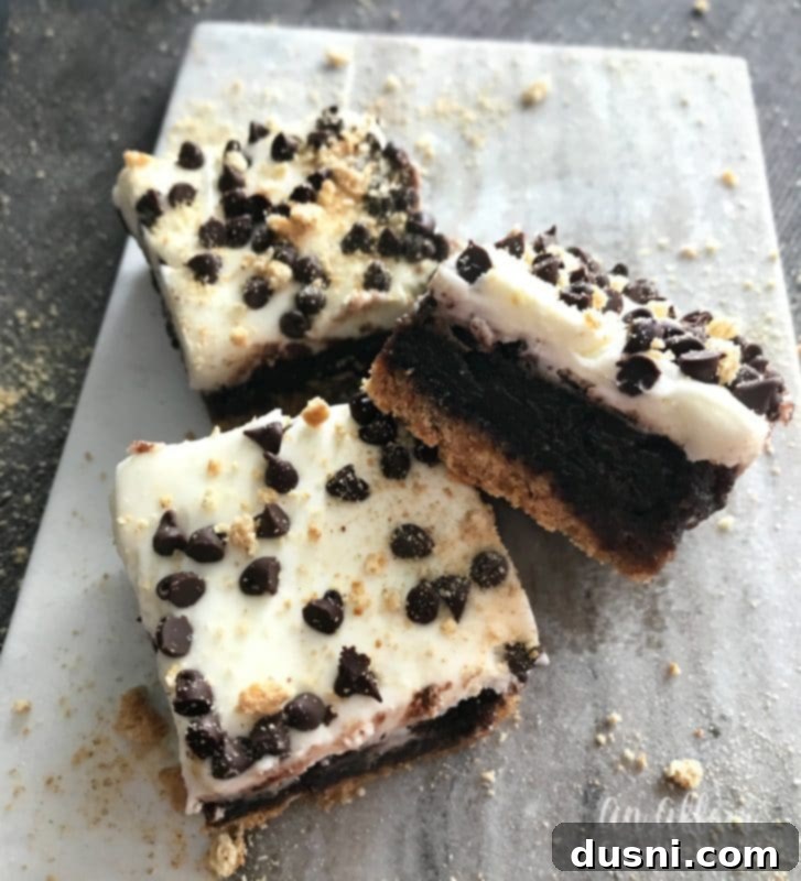 S'mores Brownies - a pan of frosted brownies, ready to be cut