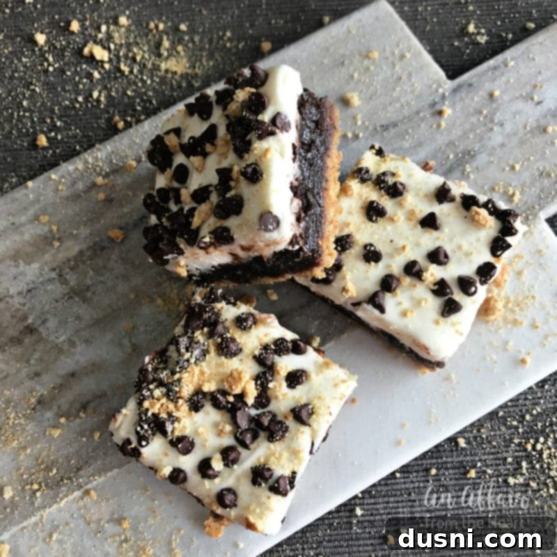 S'mores Brownies - a single brownie square being held up