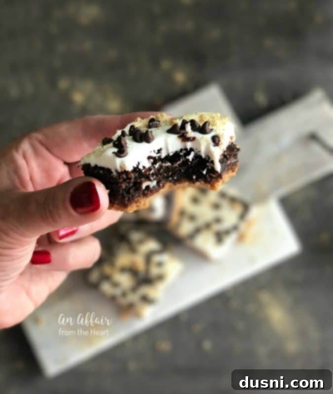 S'mores Brownies - a close-up of a single brownie square