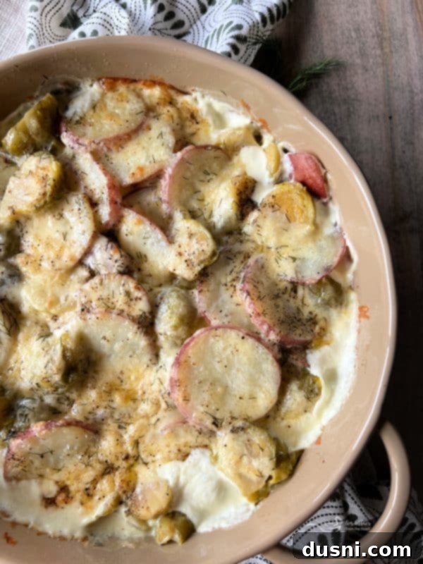 Brussels Sprouts and Potatoes Au Gratin with creamy cheese sauce