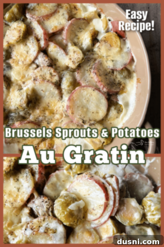 Brussels Sprouts and Potatoes Au Gratin served