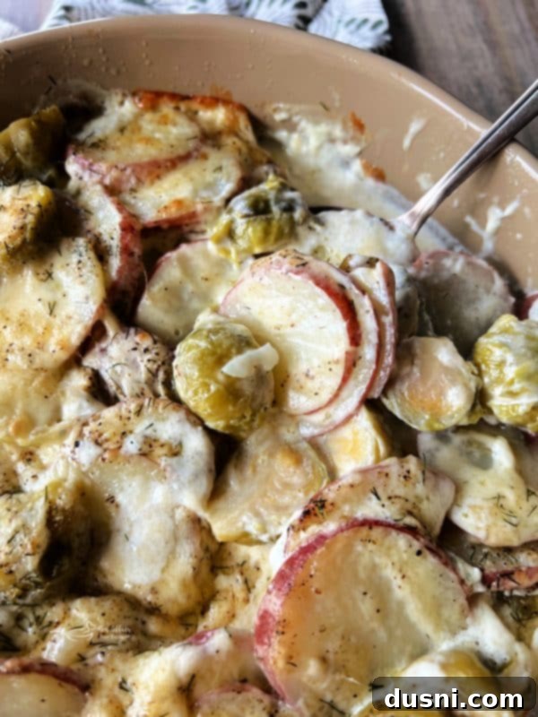 Brussels Sprouts and Potatoes Au Gratin close-up