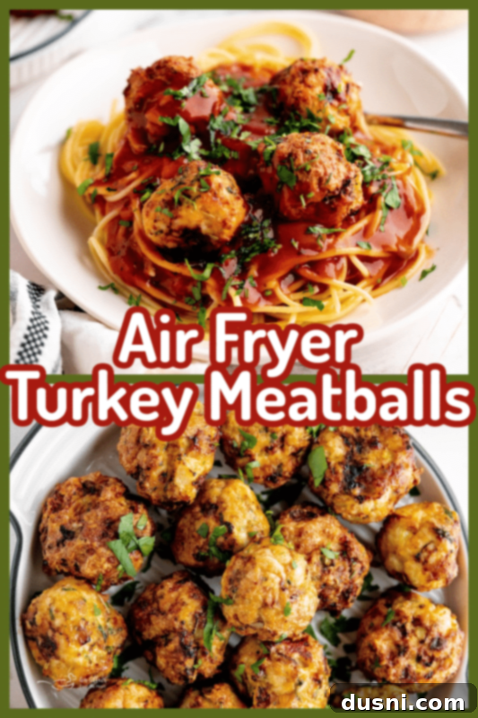 Crispy Air Fryer Turkey Meatballs 11 Air Fryer Turkey Meatballs graphic