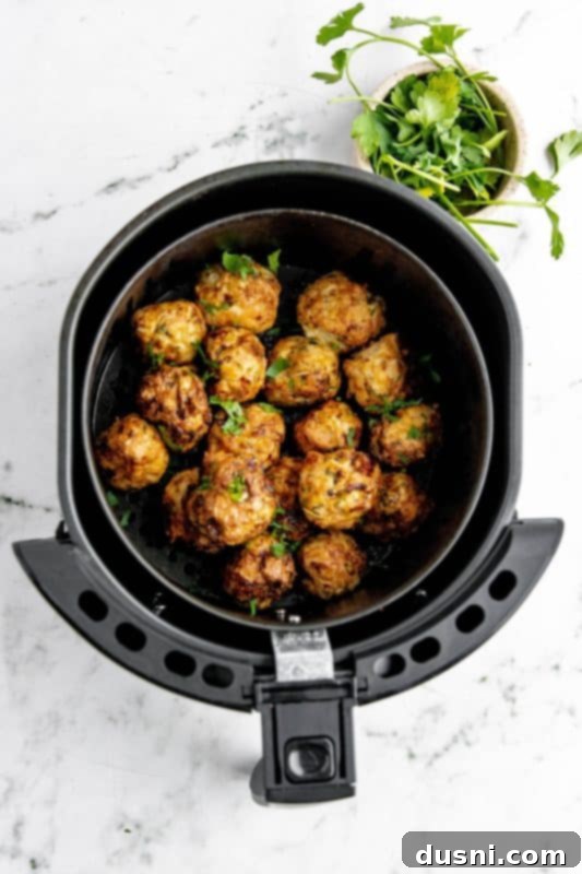 Crispy Air Fryer Turkey Meatballs 12 Cooked turkey meatballs ready to serve.