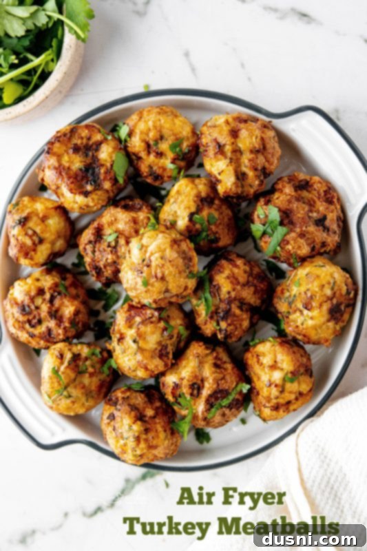 Crispy Air Fryer Turkey Meatballs 16 Air Fryer Turkey Meatballs in a large bowl, ready to be served.