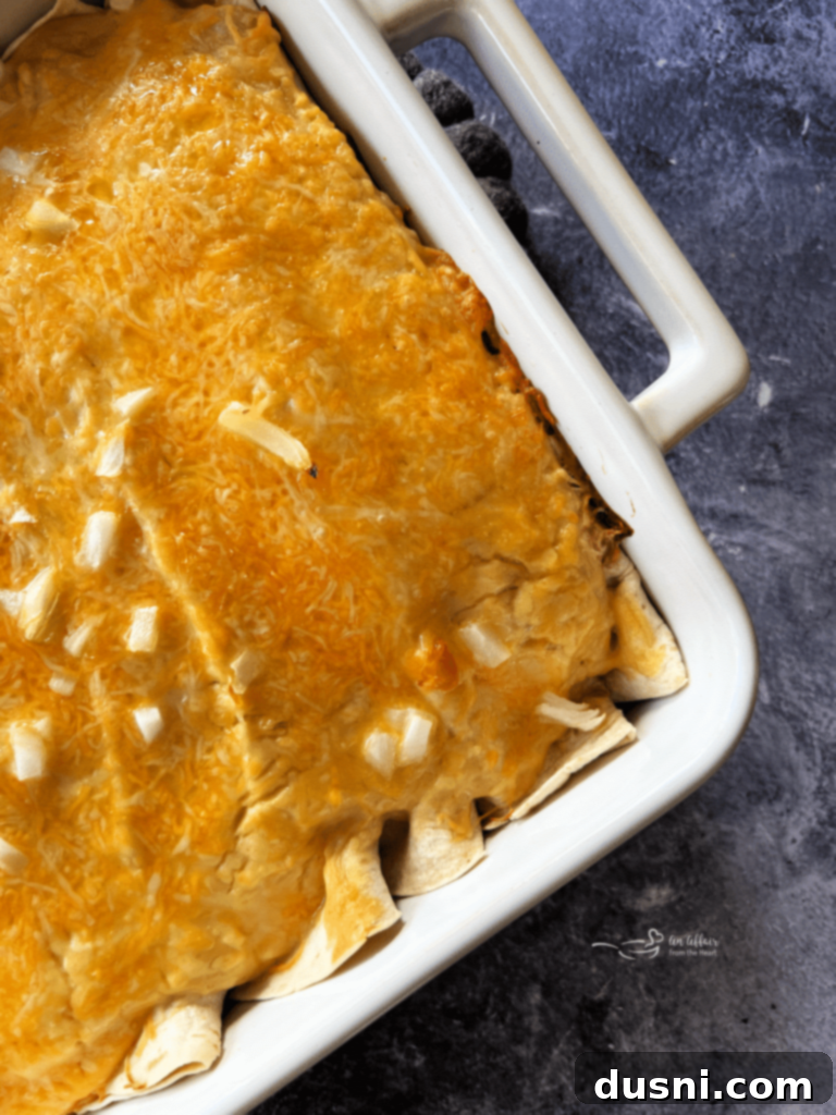 Enchiladas in a baking dish, covered with cheese and ready for final baking