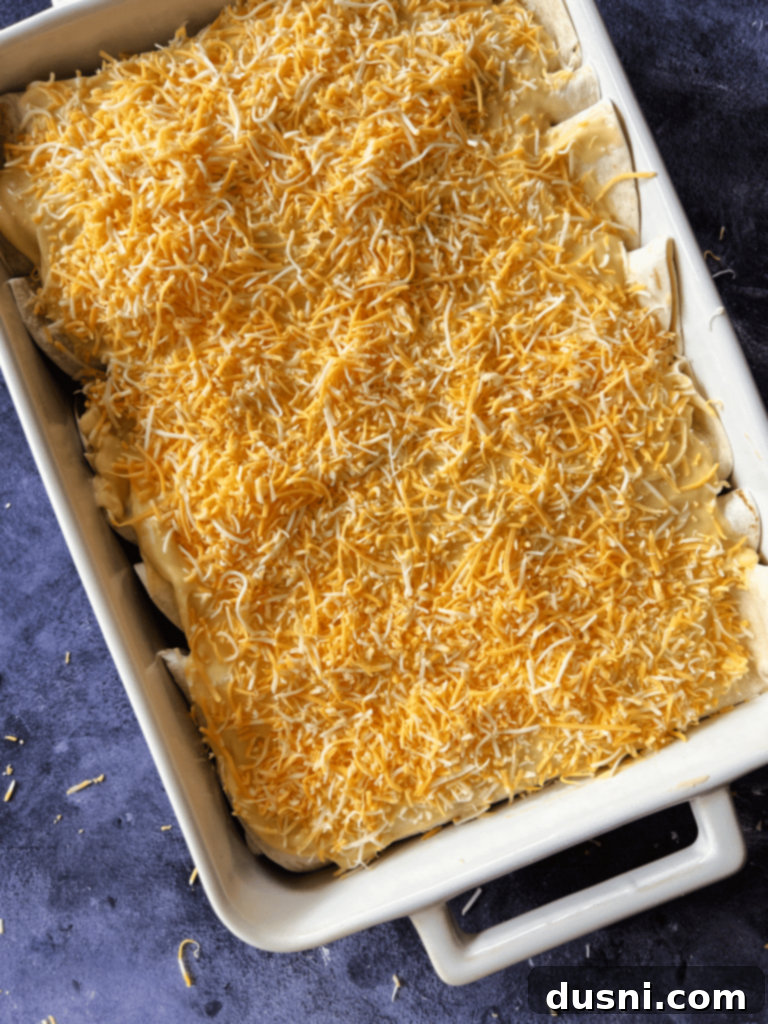 Rolled enchiladas in a baking dish, covered with nacho cheese sauce