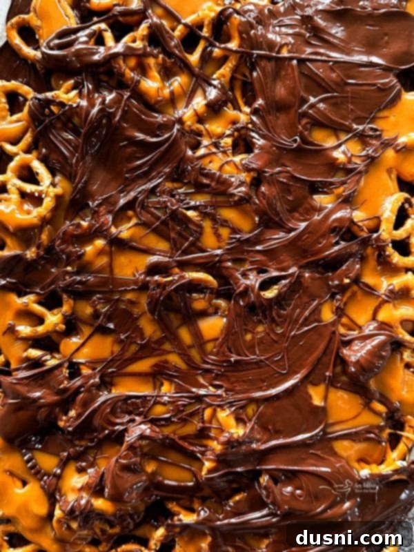 Sweet Salty Chocolate Pretzel Delight 14 A close-up of the delicious Salted Caramel Chocolate Pretzel Bars