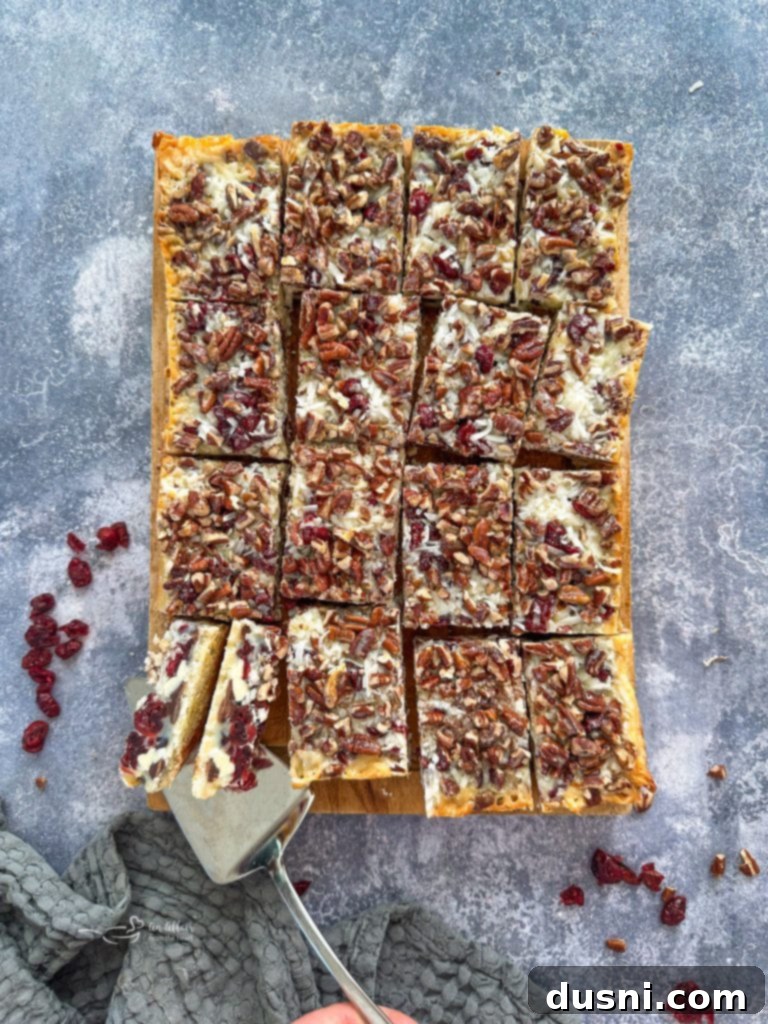 Crimson & Cacao Dream Bars 13 Close-up of a perfectly cut Double Chocolate Cranberry Magic Bar, displaying layers.