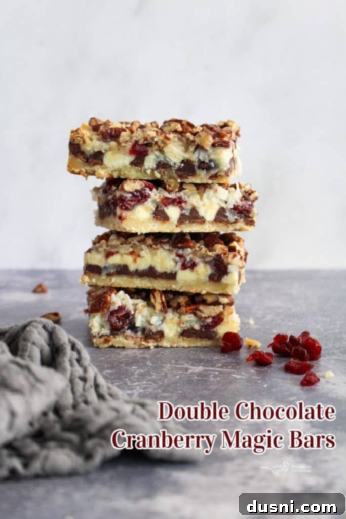 Crimson & Cacao Dream Bars 16 Beautifully presented Double Chocolate Cranberry Magic Bars, ready to be served.