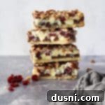 Crimson & Cacao Dream Bars 18 Double Chocolate Cranberry Magic Bars stacked on a gray surface