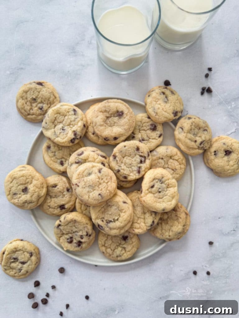 Soft & Chewy Chocolate Chip Sugar Cookies 2 Close up of freshly baked chocolate chip sugar cookies on a cooling rack