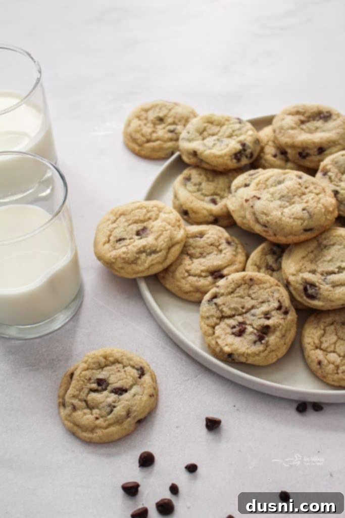 Soft & Chewy Chocolate Chip Sugar Cookies 4 Delicious chocolate chip sugar cookies with a glass of milk