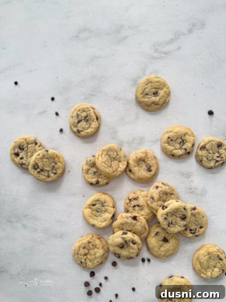 Soft & Chewy Chocolate Chip Sugar Cookies 6 Close up shot of chocolate chip sugar cookies with a hand reaching for one