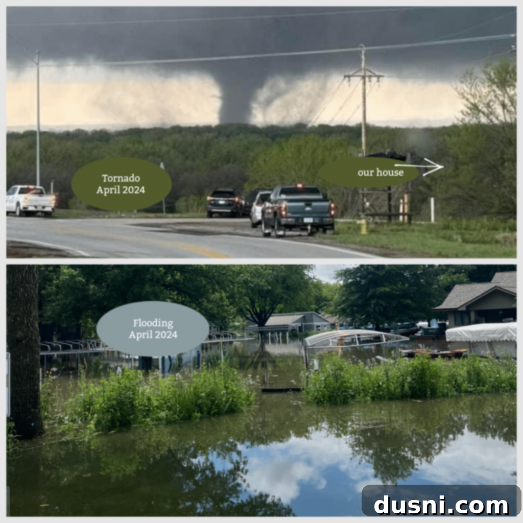 2024's Top 10 Recipes 5 Collage of disaster photos from 2024, including tornado damage and flooding