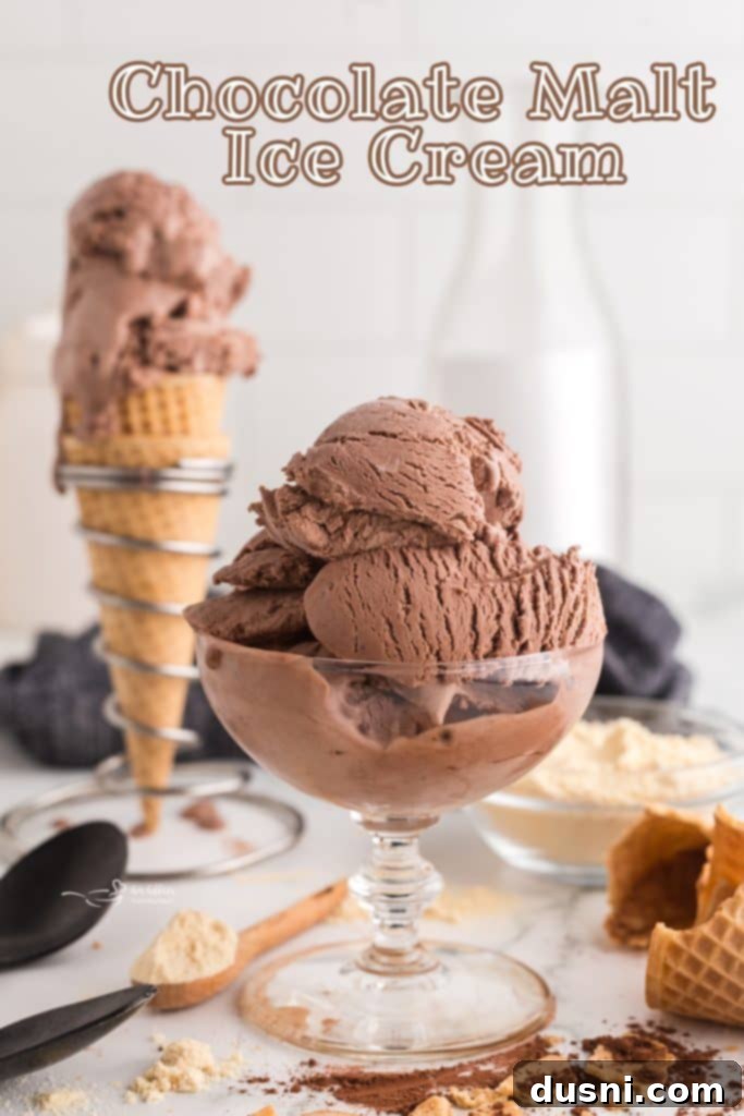 Final plated serving of no-churn chocolate malt ice cream.