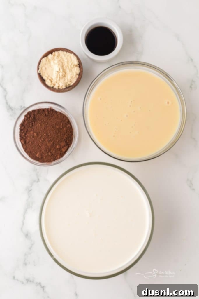 Ingredients for no-churn chocolate malt ice cream laid out on a table.