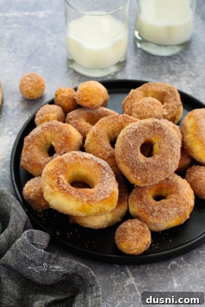 Golden Air Fryer Biscuit Doughnuts 2 Freshly air fried biscuit donuts coated in cinnamon sugar, stacked on a cooling rack.