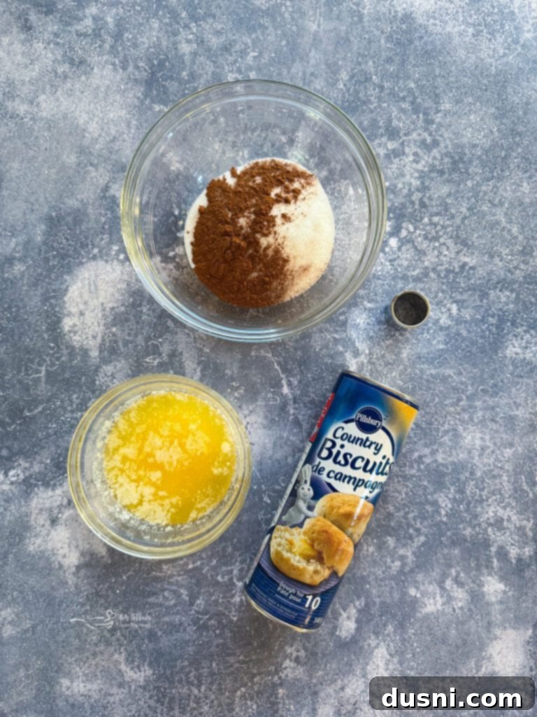 Golden Air Fryer Biscuit Doughnuts 5 A plate of air fryer biscuit donuts with powdered sugar and cinnamon sugar coatings.