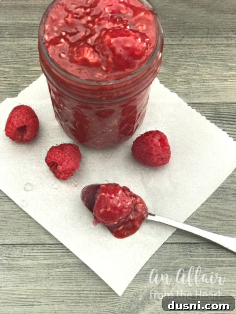 Bowl of Homemade Raspberry Sauce
