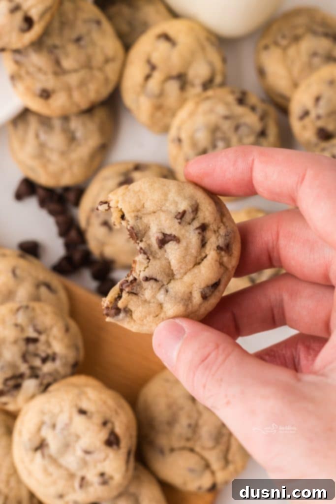 Tiny Chocolate Chip Delights 2 Soft and chewy mini chocolate chip cookies cooling on a wire rack.
