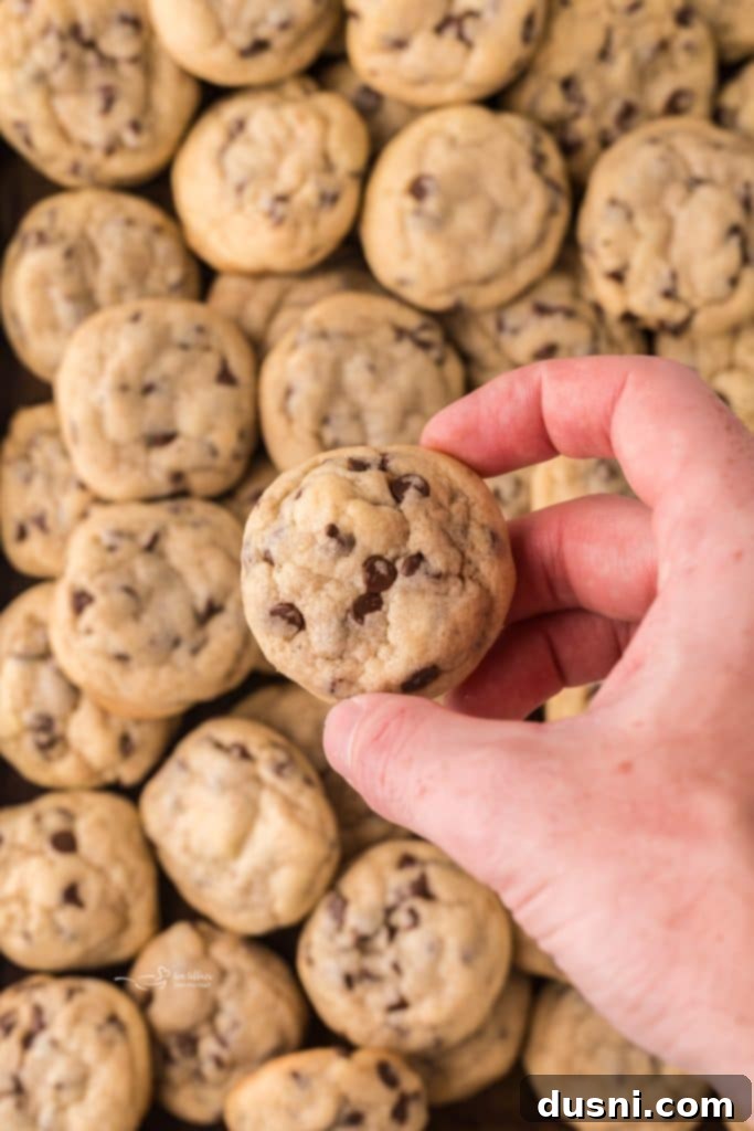 Tiny Chocolate Chip Delights 11 Gluten-free mini chocolate chip cookies, highlighting substitution options.